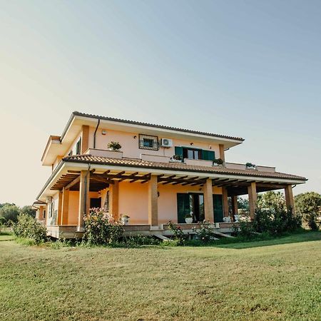 Bed And Breakfast Villa Romano Anzio Szoba fotó